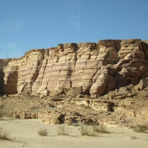 Archaeology Services